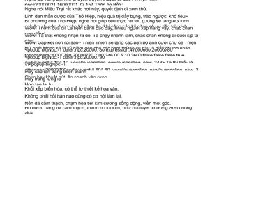Document preview