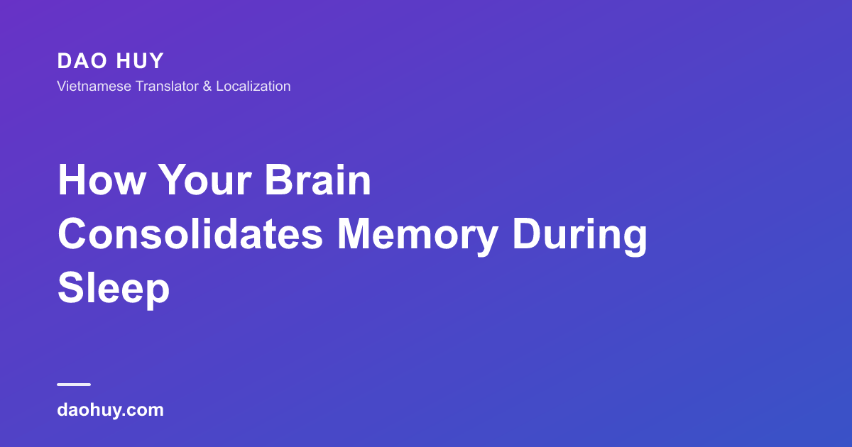 How Your Brain Consolidates Memory During Sleep